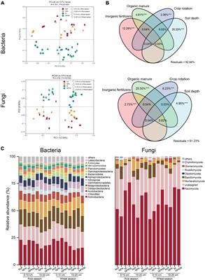 Living and Dead Microorganisms in Mediating Soil Carbon Stocks Under Long-Term Fertilization in a Rice-Wheat Rotation